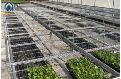 China Greenhouse Moveable Mesh Seed Bench Rolling Nursery Seedbed With Aluminum Alloy Frame supplier