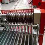 Tinplate Sheet Duplex Slitter Cutting Machine for sale