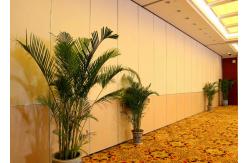 China 2.56 Inch Folding Internal Doors Lightweight Removable Partition Panel supplier