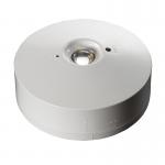 Rechargeable SMD LED Emergency Light Non Maintained