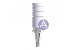 China Dentsply Ankylos® UCLA CoCr Base Castable Abutment (Engaging & Non-Engaging) supplier