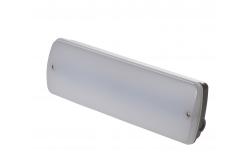 China Maintained / Non Maintained 3W Waterproof Emergency Light With 3 Years Warranty supplier