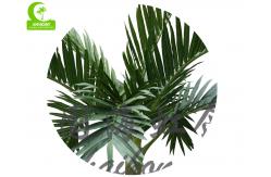 China High Simulation H250cm Artificial Bottle Palm Tree Good Looking supplier