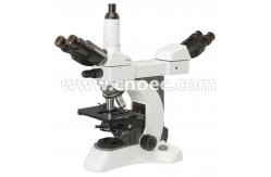 China 2 Position , Infinity Plan Multi Viewing  Microscope With Kohler Illumination A17.1025 supplier