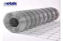 China Easily Assembled Hot Dipped Galvanized Garden Fence Waterproof supplier