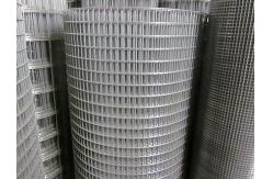 China Electric Welded Steel Wire Mesh / 6.4mm×6.4mm Cold Rolled Steel Mesh supplier