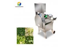 China Dual Frequency Converter Spinach Vegetable Processing Machine Potato Cabbage SS supplier