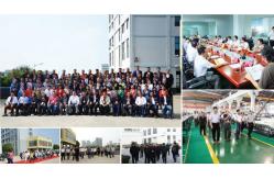 China Bean Color Sorter Machine manufacturer