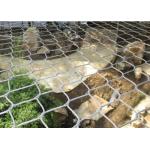 High Durability SUS316 Enclosed Zoo Wire Mesh Animal Wire Mesh for sale