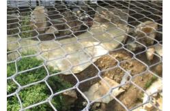 China High Durability SUS316 Enclosed Zoo Wire Mesh Animal Wire Mesh supplier
