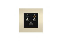 China Smart Laffey Multimedia Wall Socket Champagne / Bronze Color supplier