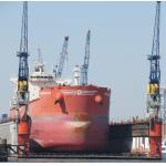 Floating Dock Crane With CCS BV ABS Class Certificate Customized Lifting Height for sale
