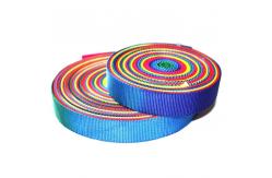 China Blue 3cm Polyester Polypropylene Webbing For Dog Collars High Strength supplier