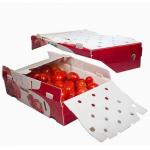 Vegetables Fruit Packaging Boxes Corrugated Plastic Static Protective