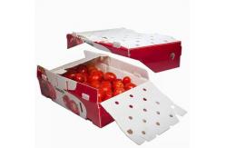 China Vegetables Fruit Packaging Boxes Corrugated Plastic Static Protective supplier