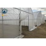 Commercial Industrial Single Span High Tunnel Tomato Plastic Agricultural Greenhouse for sale