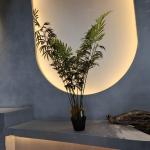 Highly Realistic Lifelike UV Safe Faux Plants For Home Office Decor for sale