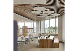 China Transfer Printing Honeycomb False Ceiling Design Random Modelling supplier
