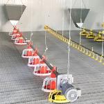 12 Birds 60HZ Poultry Farm Feeding System for sale