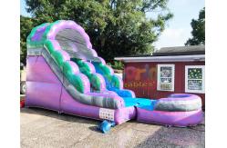 China Plato Outdoor Inflatable Water Slides With Pool Jumping Bouncer House supplier