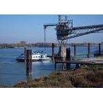 LCL FCL Oceania Freight , International Sea Freight Services for sale