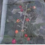 PVC 40mesh Insect Mesh Net Non Toxicity For Greenhouse Protections