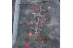 China PVC 40mesh Insect Mesh Net Non Toxicity For Greenhouse Protections supplier