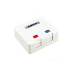 2 Port Surface Mount Box For RJ45 Module , Surface Mount Cat6 Box With Dust Protection for sale