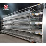 H Type Automatic Egg Layer Chicken Farm Cage Cold Galvanized for sale