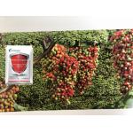 Microbial Biological Pesticides With Bacillus Thuringiensis Bt for sale