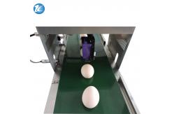 China High Performance Egg Stamping Equipment Batch Coding Machine Easy Operation supplier