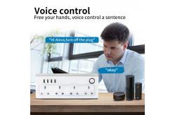 China Wi Fi Enabled Homekit Smart Socket Timing Scheduling Device supplier