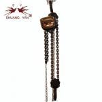 Japanese VITAL Pull Lift Manual Chain Hoist 2T with Double Chain German-Quality Lifting Chain for sale