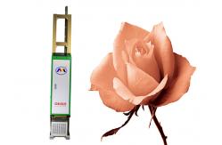 China CMYK Vertical 3D Wall Printing Machine Automatic Advertising Decoration supplier