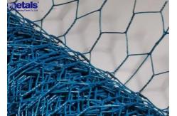 China PVC Coated Hexagonal Wire Mesh Netting 1 Inch For Chicken Coop supplier