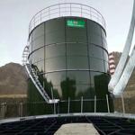 Biogas Wastewater Anaerobic Reactor With Batch / Continuous Design for sale