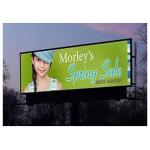 P8 Large Outdoor LED Display Screens For Advertising