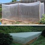HDPE UV Garden Netting Greenhouse Agricultural Grapes Gardens