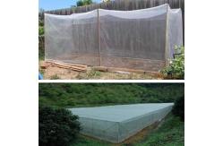 China HDPE UV Garden Netting Greenhouse Agricultural Grapes Gardens supplier