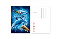 China 11x16cm Paris Eiffel Tower Day - Night 3D Lenticular Postcard With CMYK Printing supplier