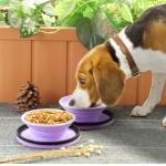 Silicone Collapsible Dog Bowl Set Foldable Expandable Pet Food Water Feeding Cup Dish for Outdoors Travel for sale