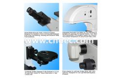 China Infinity Objective Inverted Optical Microscope Phase Contrast Microscope  Bright Field A14.0203 supplier