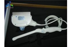 China GE E8CS Endocavity Ultrasound Probe/Logiq 7/Logiq 9/Logiq P3/P5/Sickroom supplier