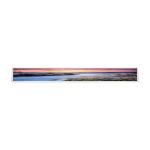 28.6 inch LCD panel For LG LD290EJN-FPN1 LCD screen Floor standing display panel for sale