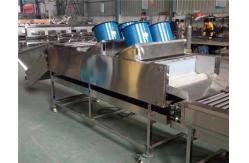 China apple orange lemon cleaning drying machine, potato washing drying machine supplier