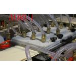 Ceiling / Rail Wood Plastic Composite Extrusion Line for sale