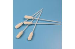 China 10mm Big Round Sponge Stick Foam Tip Specimen Collection Swab Individual Packing supplier