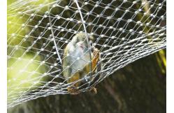 China SS316 Zoo 50mm Hole Bird Aviary Mesh For Parrots supplier