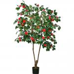 Artificial Camellia Potted Plant No Litght Fresh Leaves Red And Green Mixed Plant Indoor Decor for sale