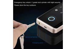 China 3D Face Recognition Electronic Glass Door Lock Fingerprint Password Lock supplier
